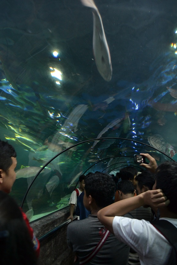 Aquarium2